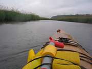 salt marsh
